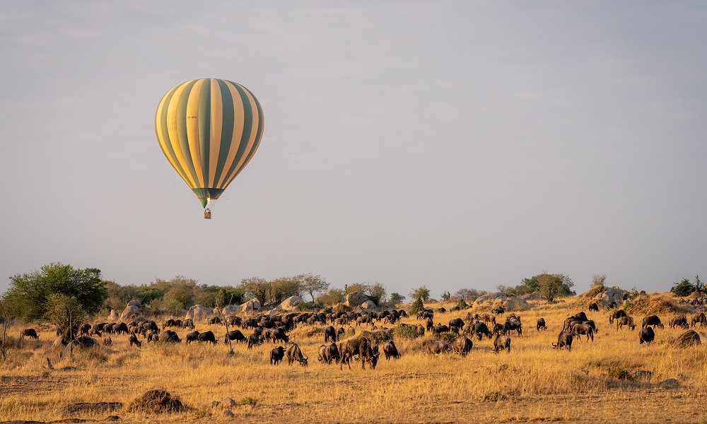 Hot Air Balloon Safaris