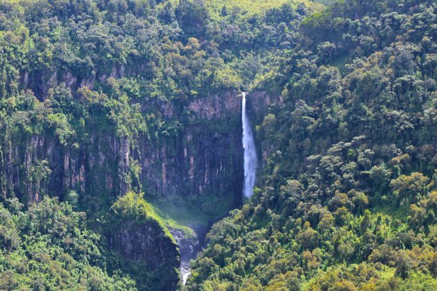 Aberdare National Park