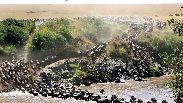 Maasai Mara National Reserve