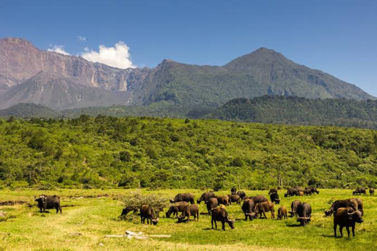 Arusha National Park 1