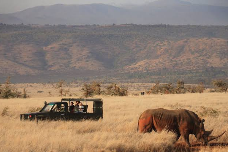 Lewa Wildlife Conservancy (Laikipia) 1