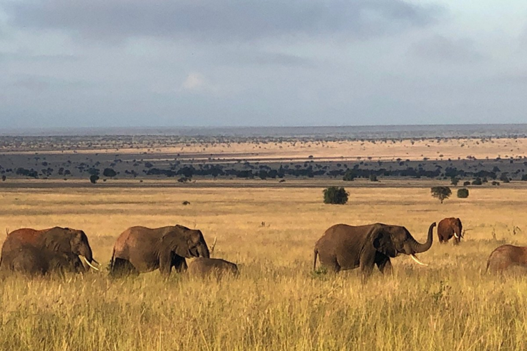 Lumo Community Wildlife Conservancy 1