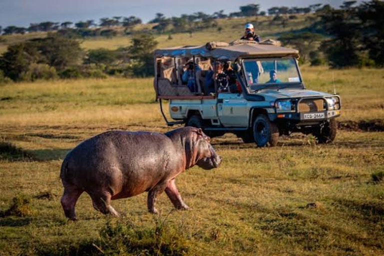 Mara North & Olare Motorogi Conservancies 1