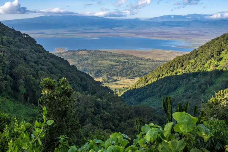 Ngorongoro Conservation Area & Crater 1