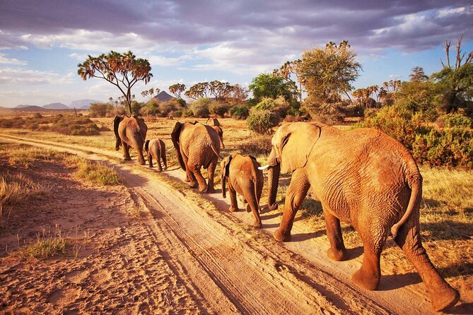 tsavo